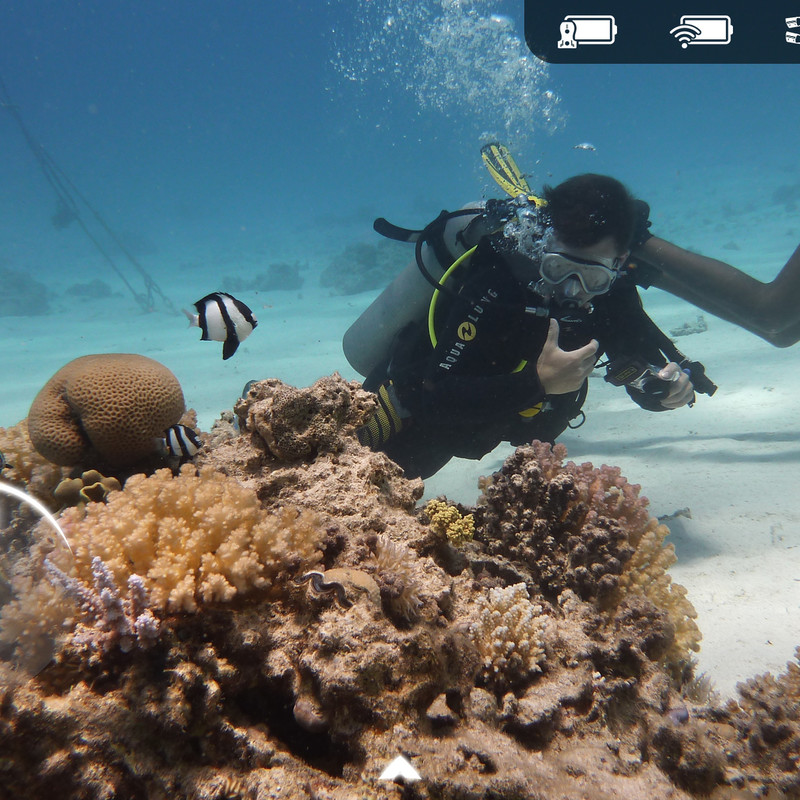 Nemo｜水深100mでウルトラHD撮影・VR体験可能な水中ドローン