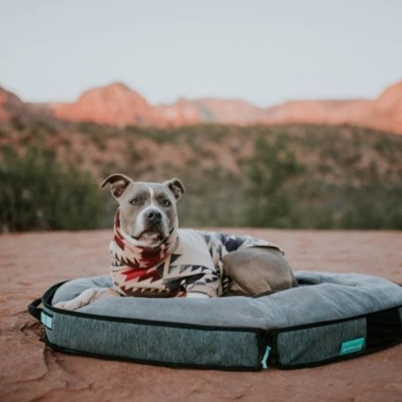 creative solutions elevated pet bed