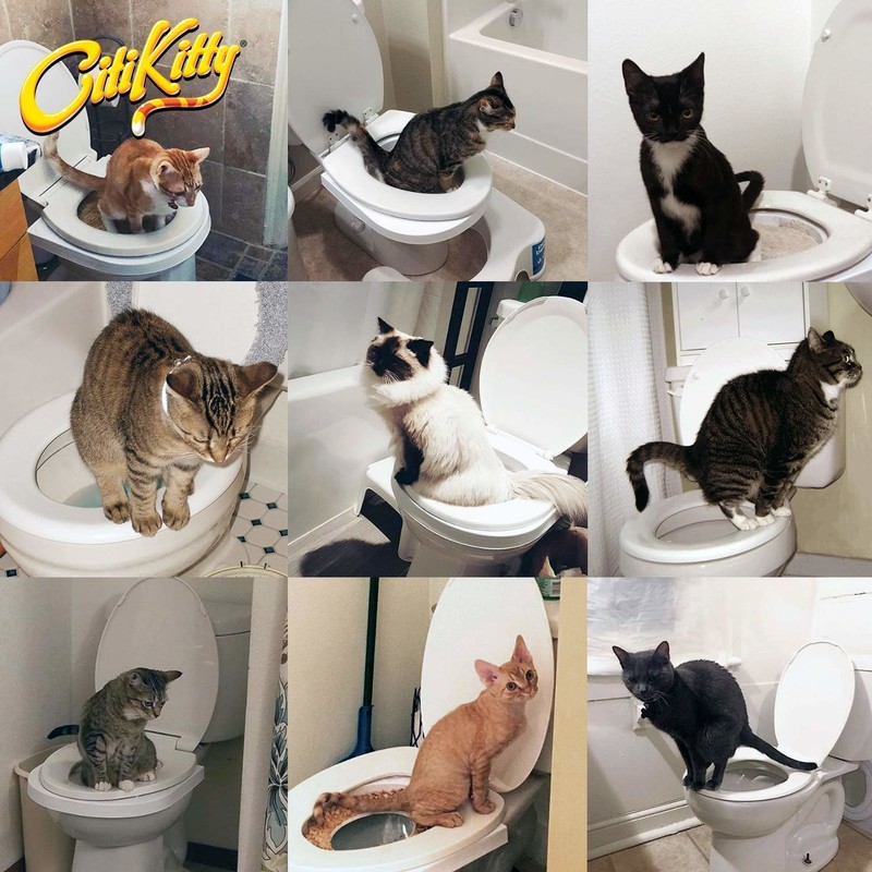 プチプラ】猫用トイレトレーニングキット「シーティキティ