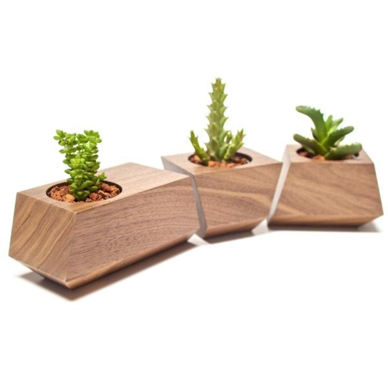 Boxcar｜多肉植物用3ピースプランター - ガジェットの購入なら海外通販