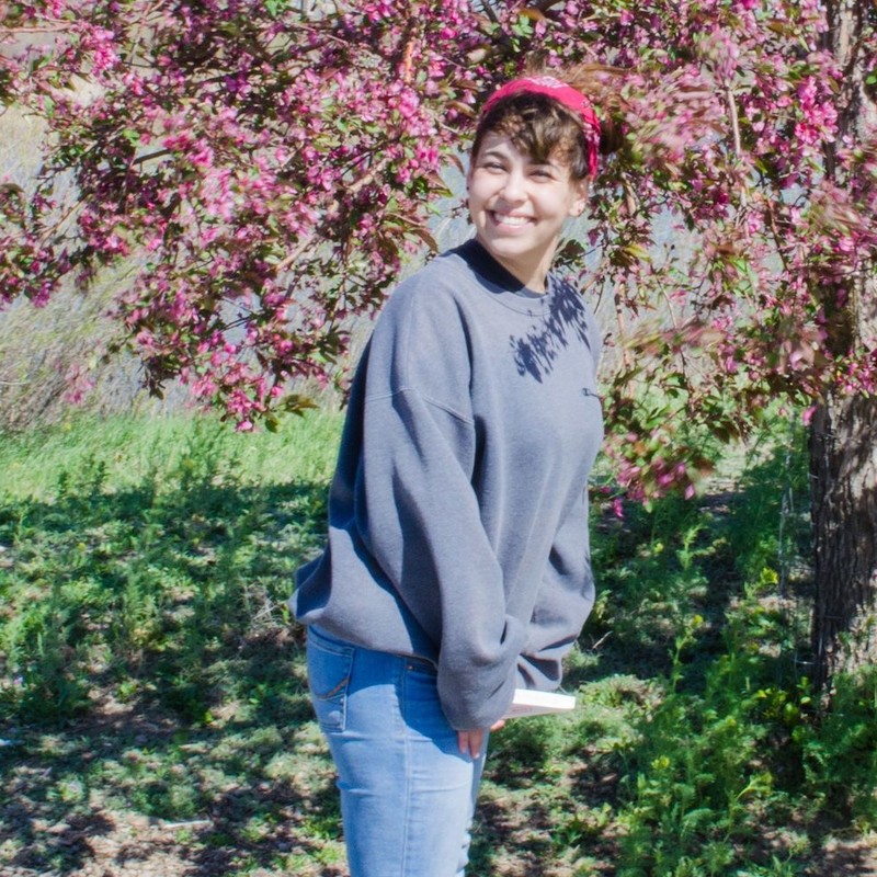 P Mate アウトドアでの女性の排泄問題を解決する折りたたみ式使い捨てトイレ Pメイト ガジェットの購入なら海外通販のrakunew ラクニュー