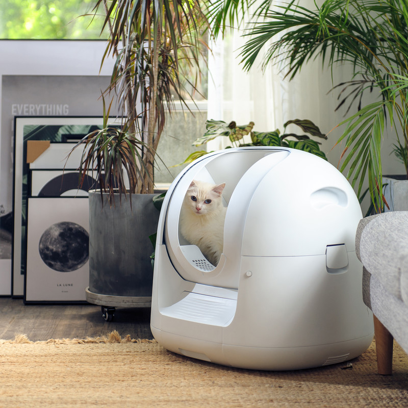 footloose automatic litter box