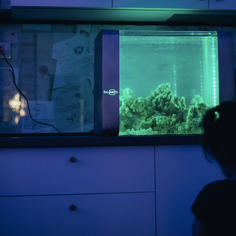 Bluenero あなたに代わって水温 水質管理 餌やりするスマートアクアリウム ブルーネロ ガジェットの購入なら海外通販のrakunew ラクニュー Bluenero あなたに代わって水温 水質管理 餌やりするスマートアクアリウム ブルーネロ ガジェットの購入なら海外通販のrakunew ラクニュー