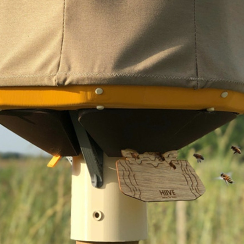 BEEHIVE（蜂の巣）　カイフランク BEEHIVE（蜂の巣） カイフランク - メルカリ