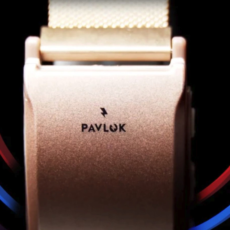 Pavlok3 パブロック3 シルバー その他 生活家電 家電・スマホ・カメラ