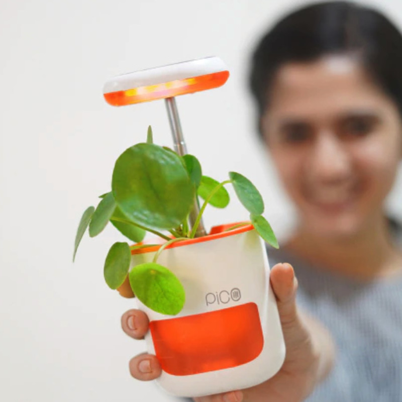 Pico 日当たりや水やりを気にせずに植物やハーブを栽培できる手のひらサイズ植物栽培システム ピコ ガジェットの購入なら海外通販のrakunew ラクニュー Pico 日当たりや水やりを気にせずに植物やハーブを栽培できる手のひらサイズ植物栽培システム ピコ ガジェットの購入なら海外通販のrakunew ラクニュー