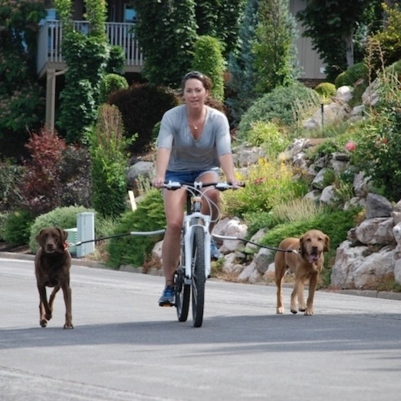 Cycleash 犬の散歩に最適な自転車用リーシュ サイクリーシュ ガジェットの購入なら海外通販のrakunew ラクニュー