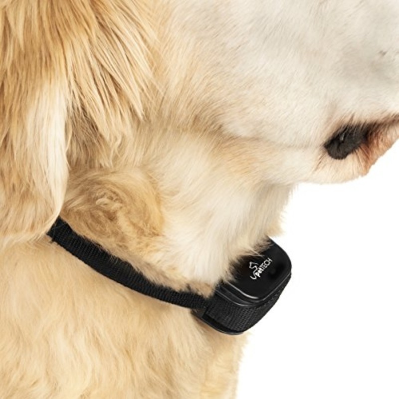 Dog Training Collar｜犬用リモート式トレーニングカラー - ガジェットの購入なら海外通販のRAKUNEW(ラクニュー)