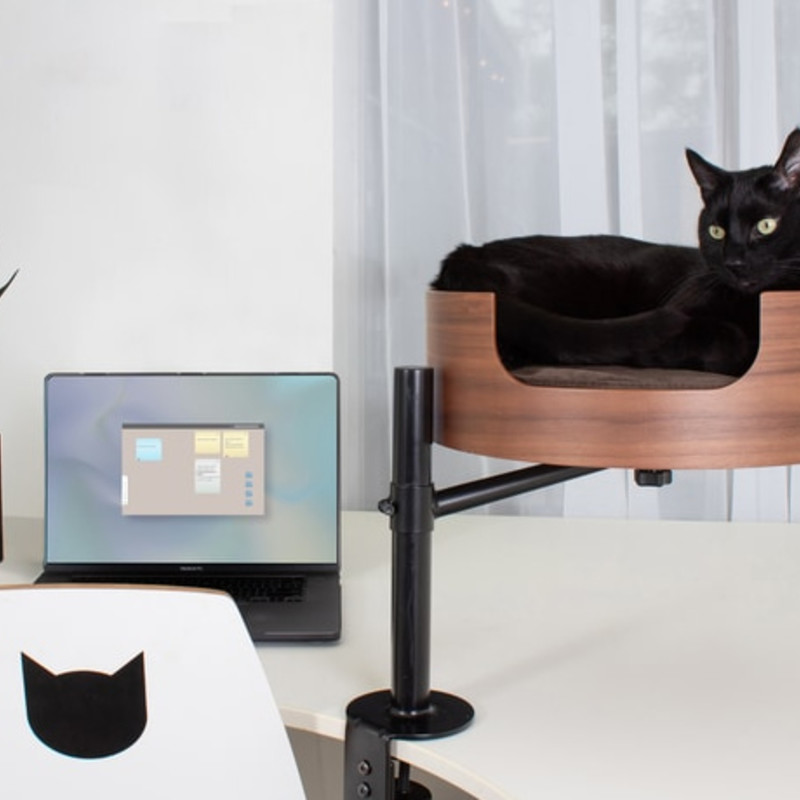 Amazon.co.jp: 猫用ベッド デスク用 高さのあるキャットハウス