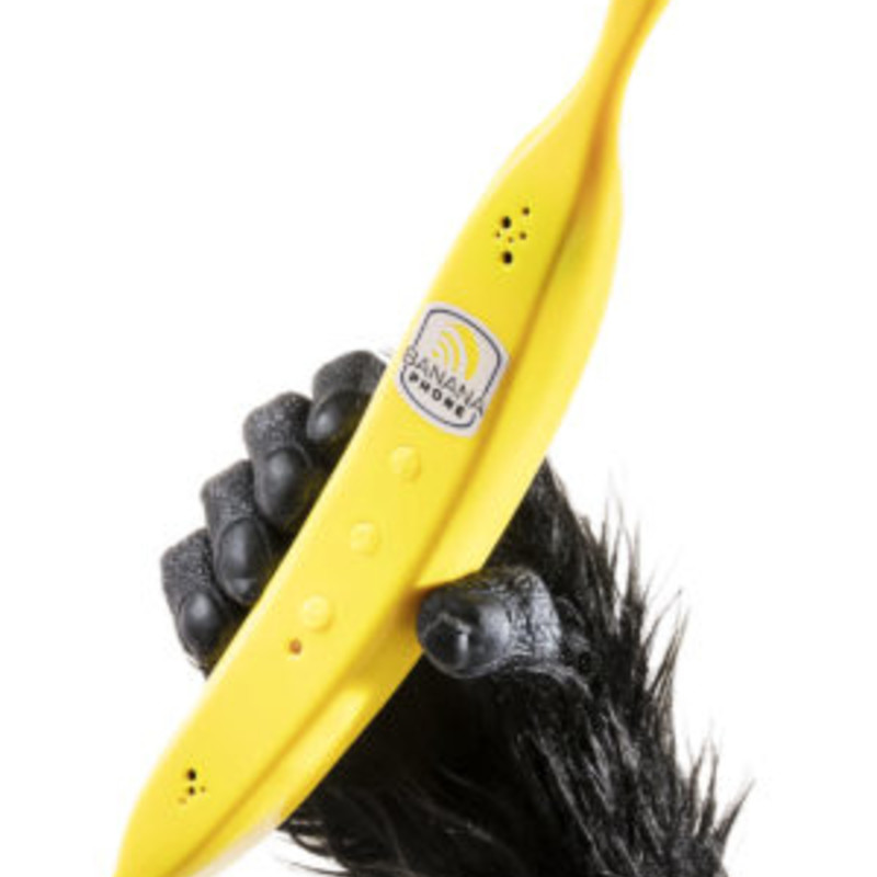 スマートフォン本体 Banana TC25 堅牢モバイルコンピュータ(Android端末) | ZEBRA ゼブラ